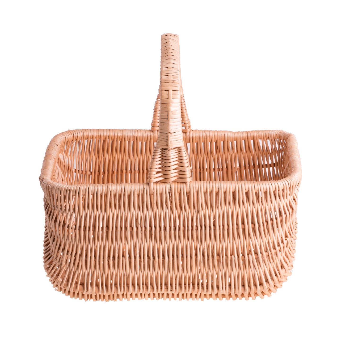 Willesia wicker basket with handle