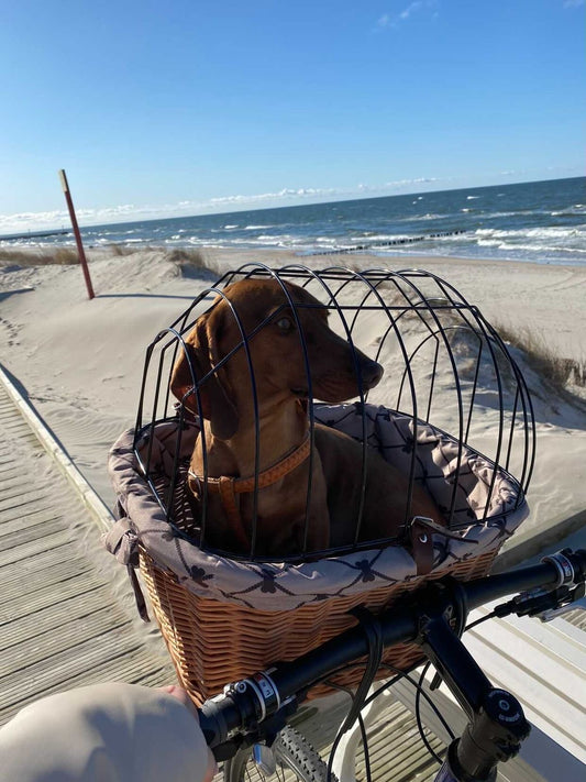 Timoria wicker pet bicycle basket with beige trim, lid and leather straps TheWickerStories