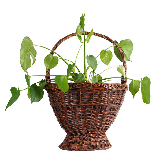 wicker garden basket for flowers and herbs, with handle