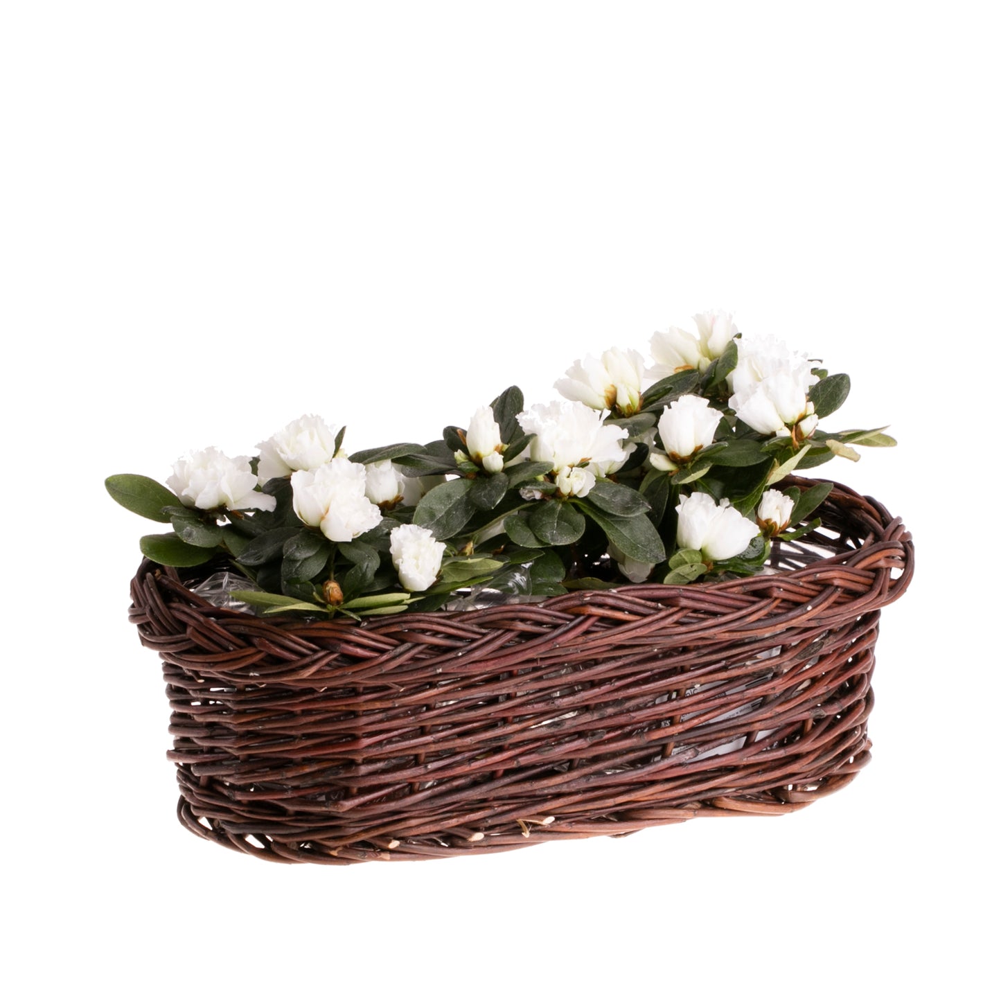 Zenturia rieten mand voor bloemen voor tuin en balkon