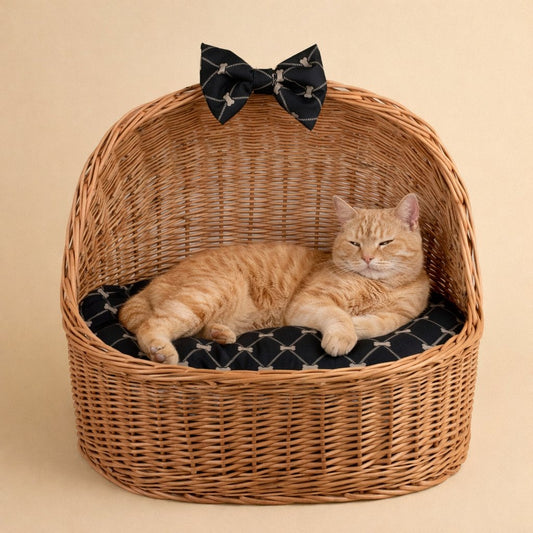 cesto de vime cama para animais com almofada preta e laço