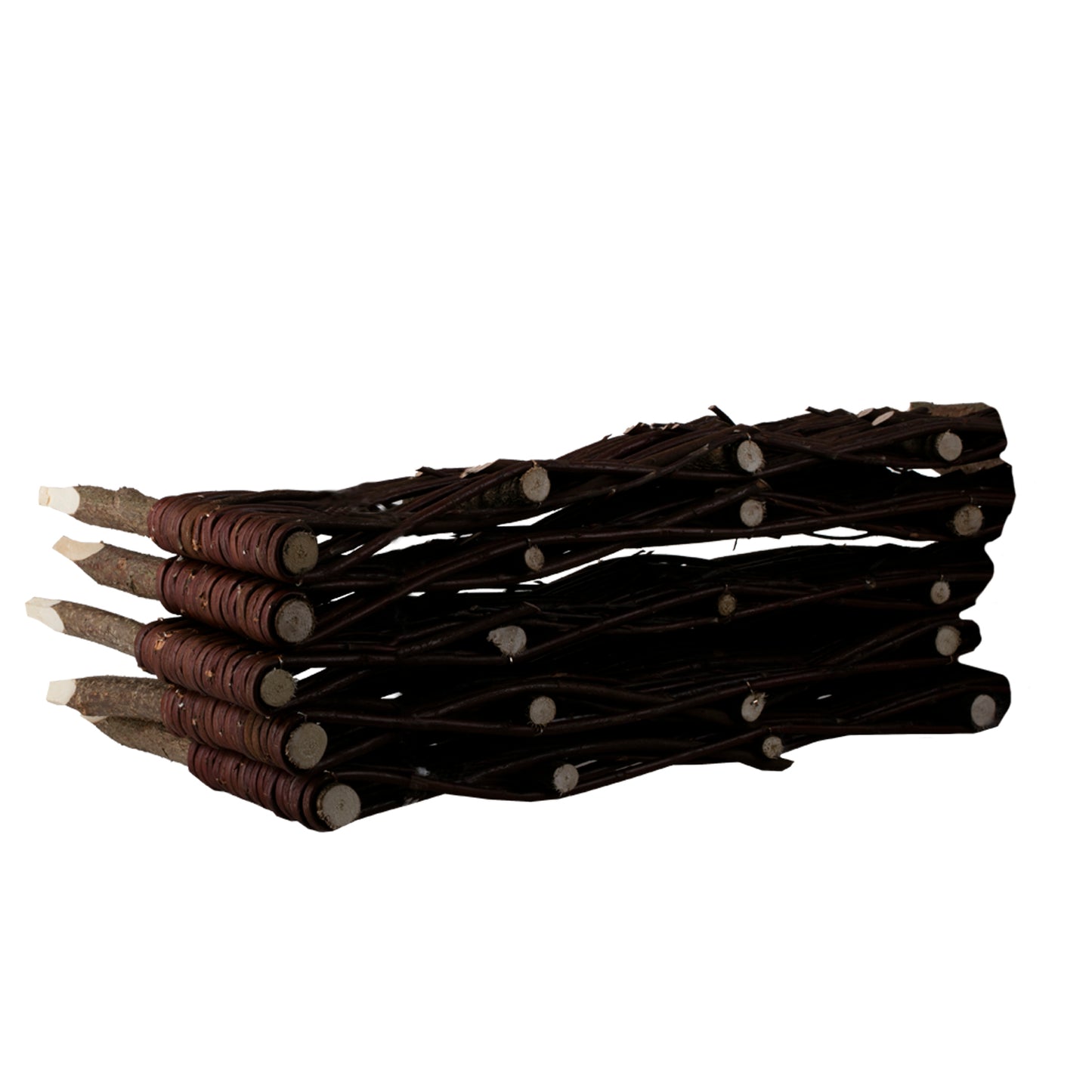 Domitia wicker palisade
