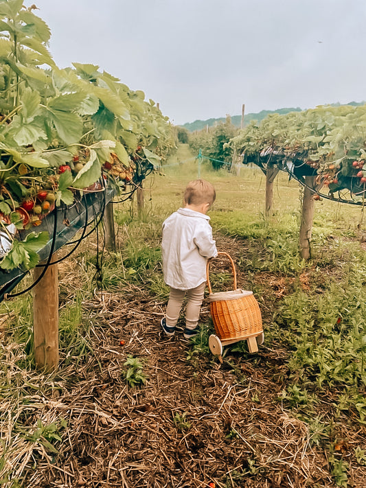 Luke ψάθινο καροτσάκι για κούκλες με μπλε επένδυση, ξύλινα ροδάκια και χειρολαβή TheWickerStories