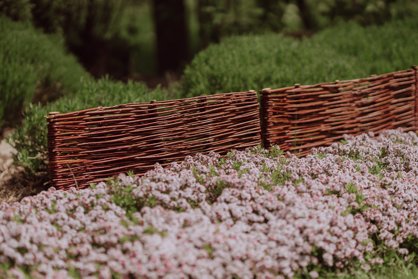Domitia wicker palisade