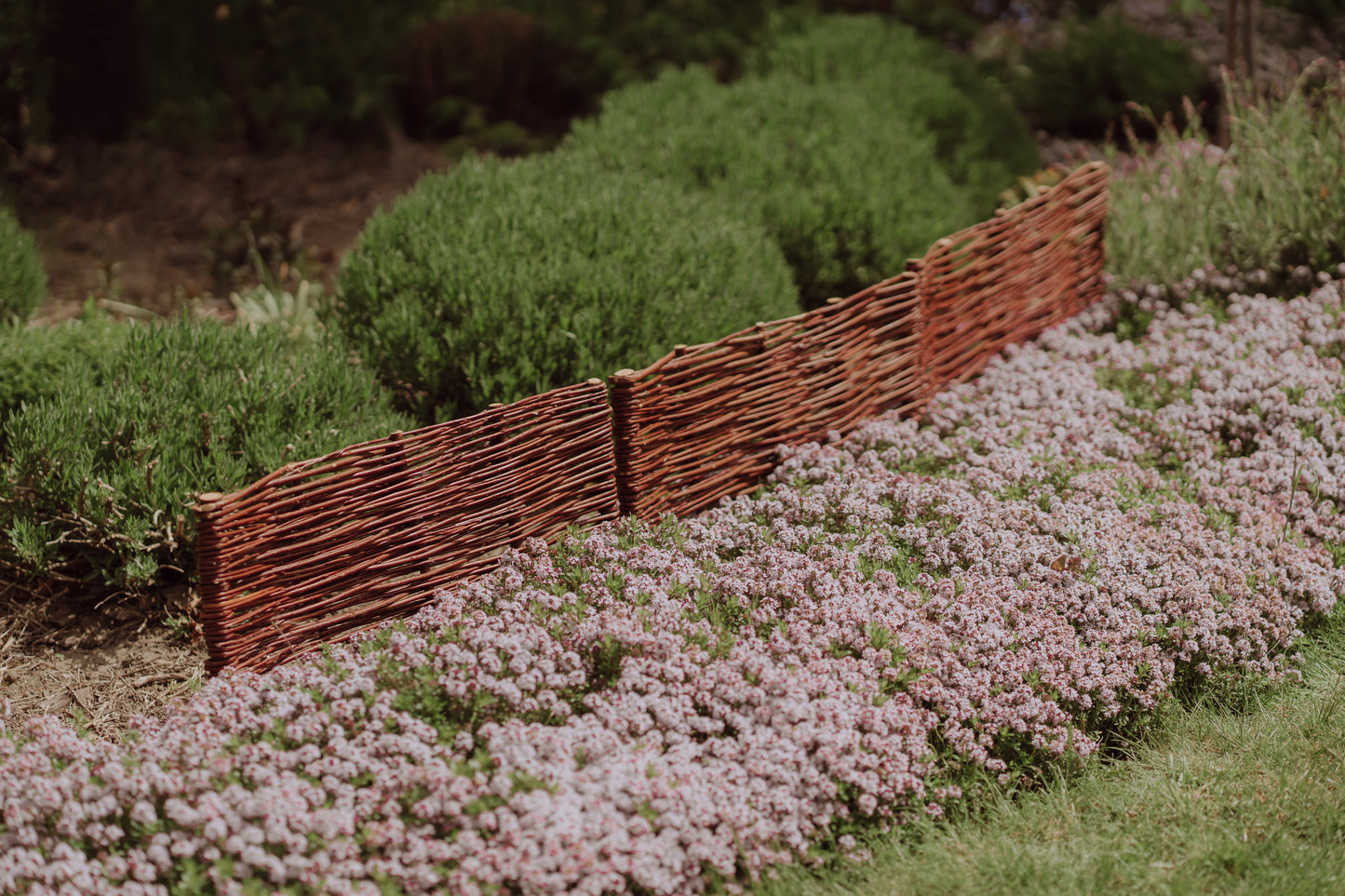 Domitia wicker palisade
