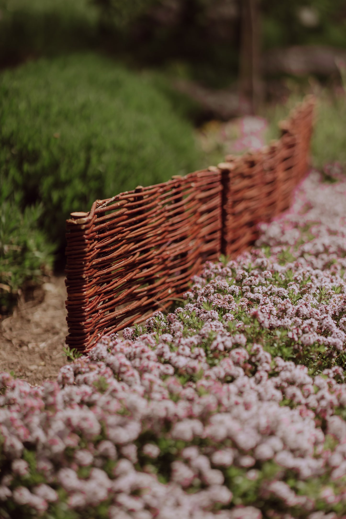 Domitia wicker palisade