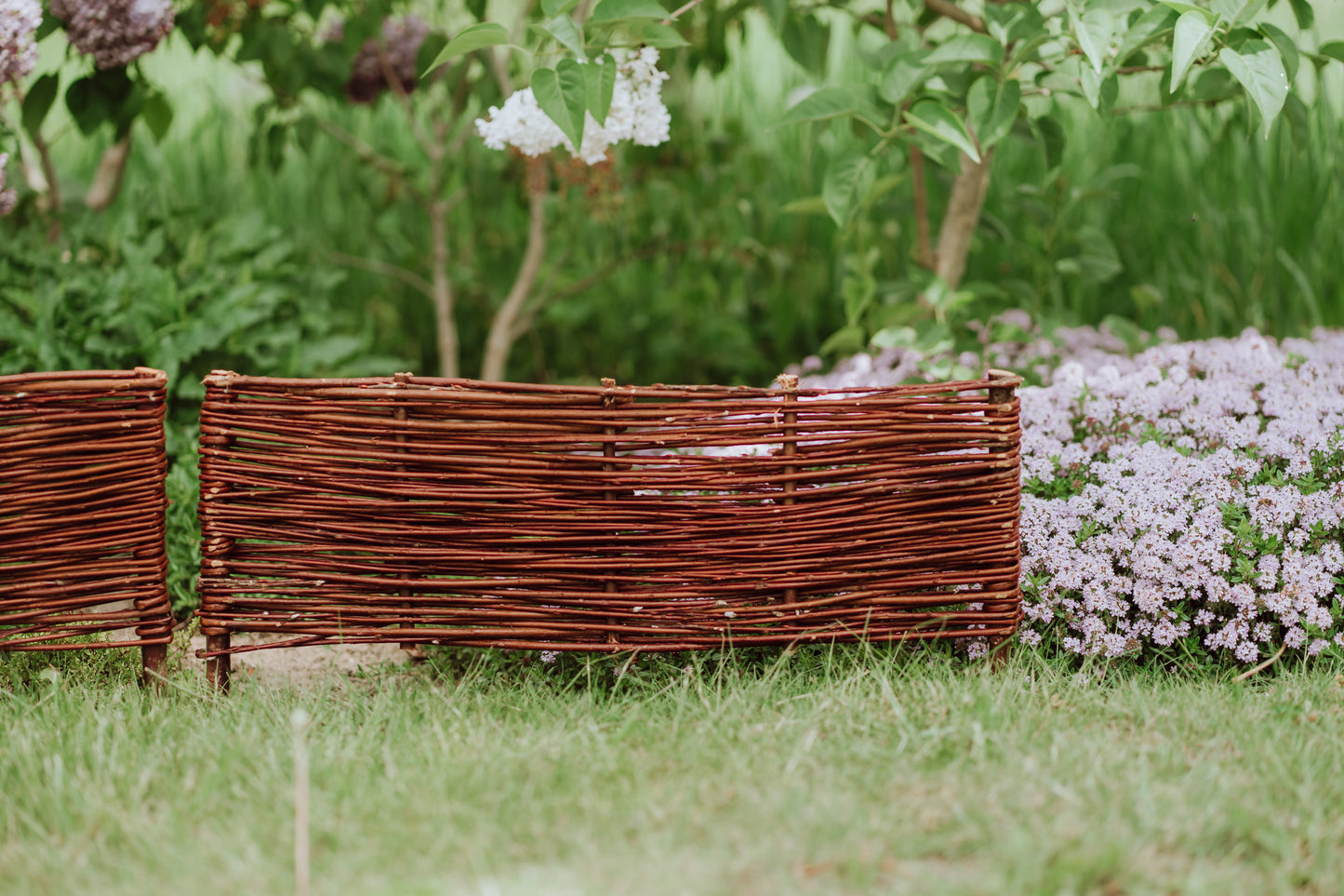 Domitia wicker palisade