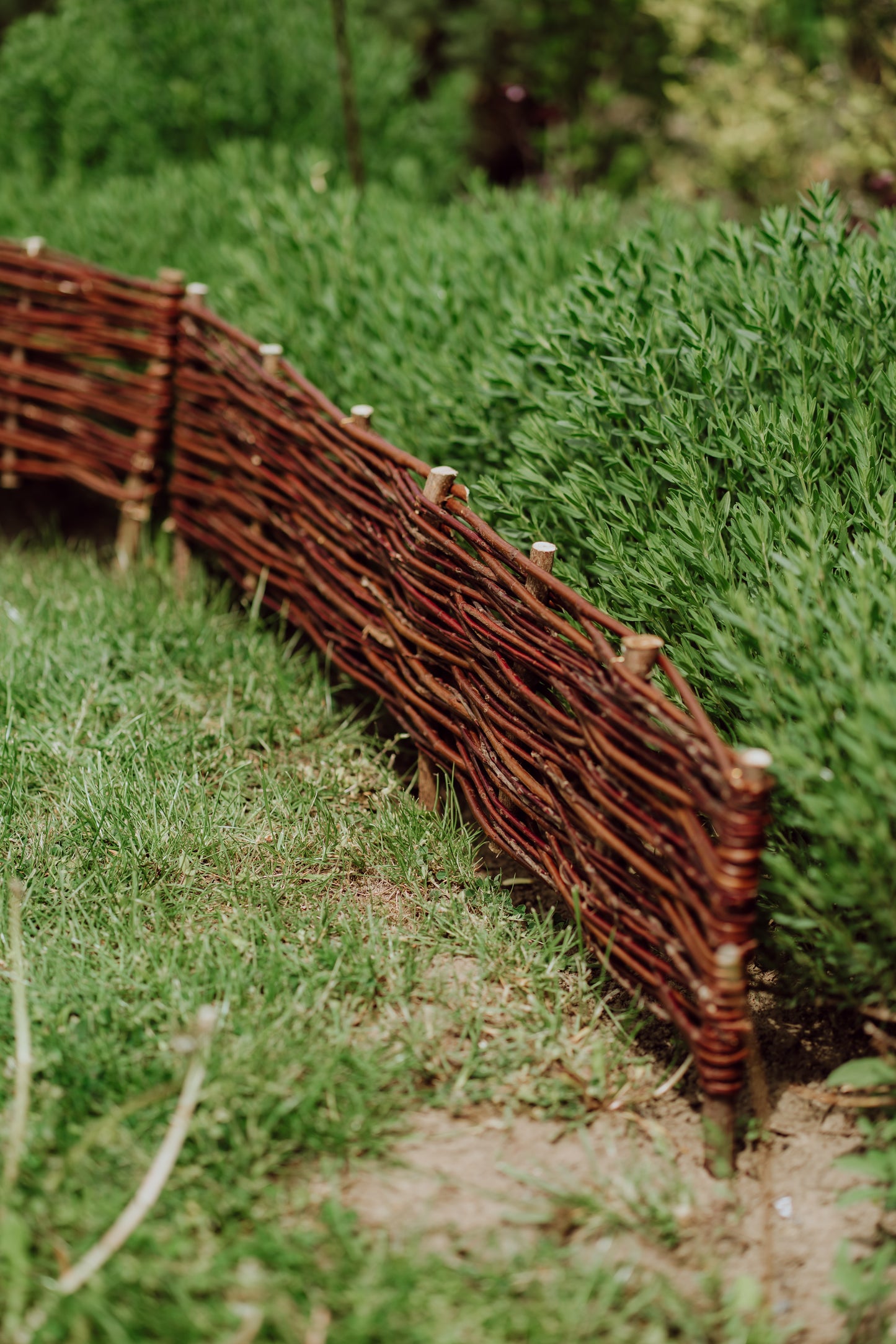 Domitia set of 5 wicker garden panels TheWickerStories