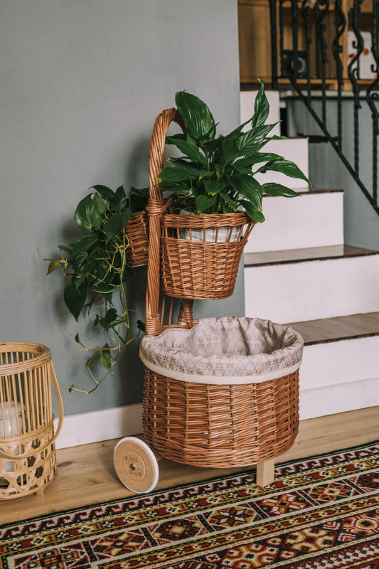 Acer wicker plant basket with cream trim on wheels TheWickerStories