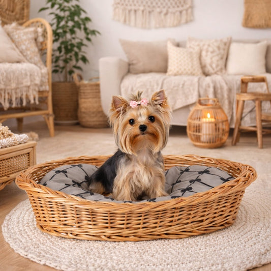 rieten mand voor hond en kat met kussen