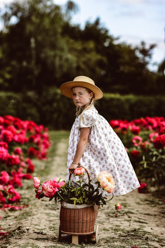 Luke Poussette pour poupées en osier tressé, doublure beige, poignée et roues en bois TheWickerStories