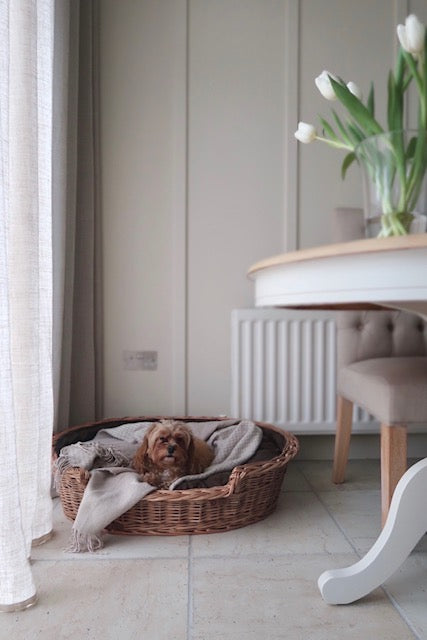 Esmira wicker pet basket for dogs and cats with low entry TheWickerStories