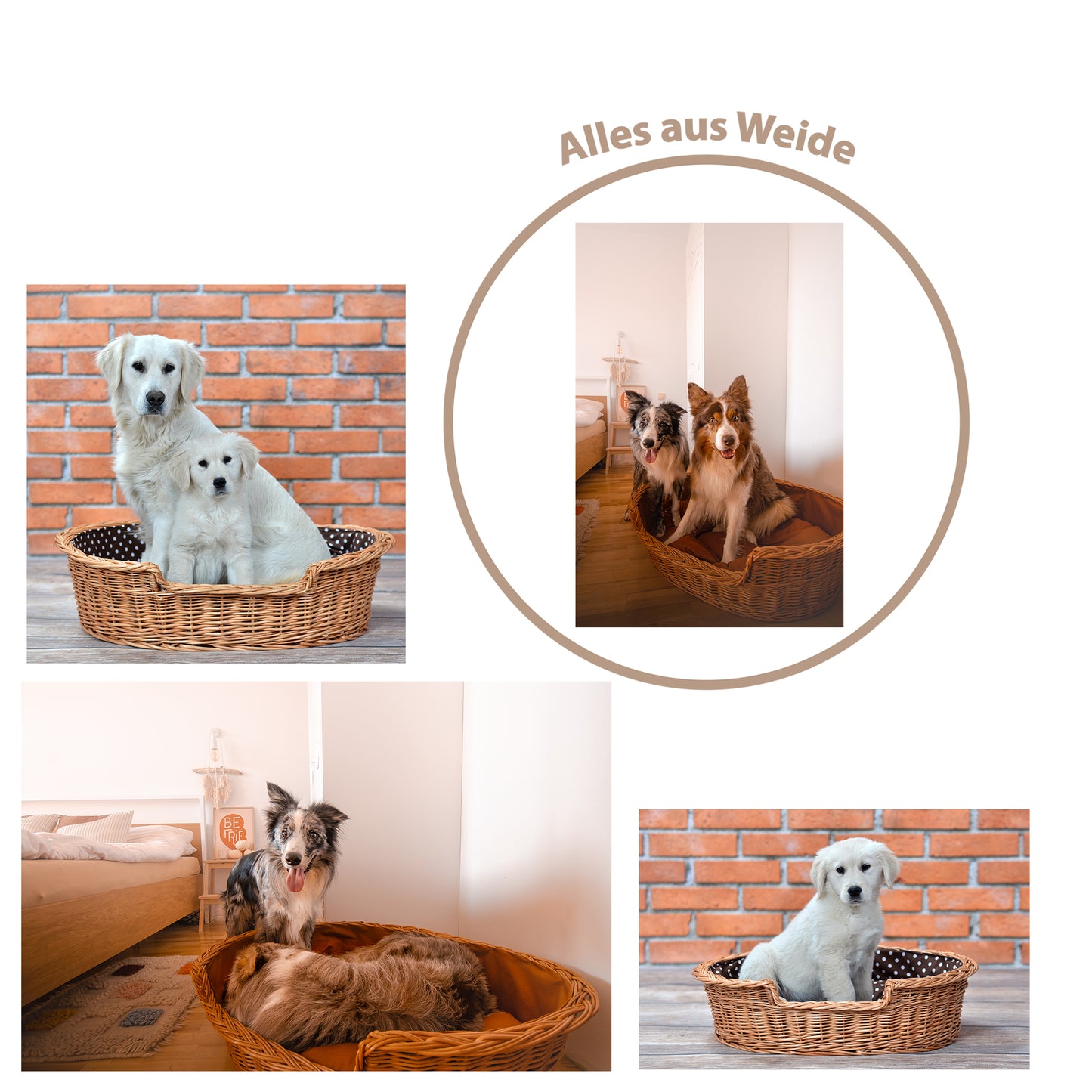 Esmira cesta in vimini per cane e gatto con cuscino marrone
