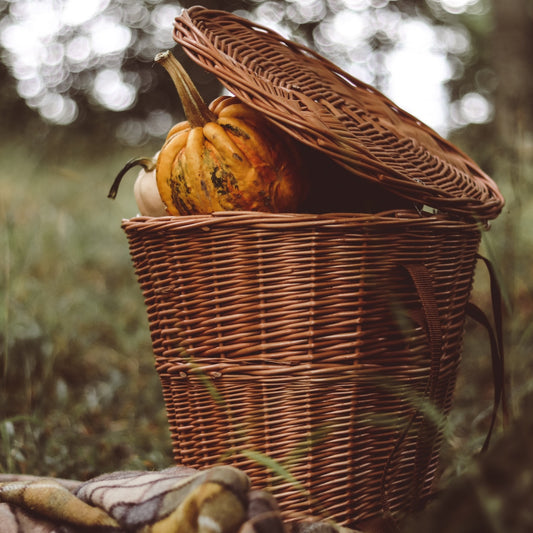 Sirellius wicker harvest backpack, gathering basket to wear on the back with jute trim TheWickerStories