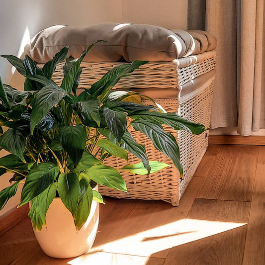 Wicker in the Winter Garden – Discover Our Inspirations