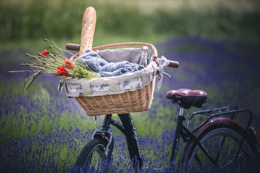 What to Pack in a Picnic Basket for a Summer Getaway