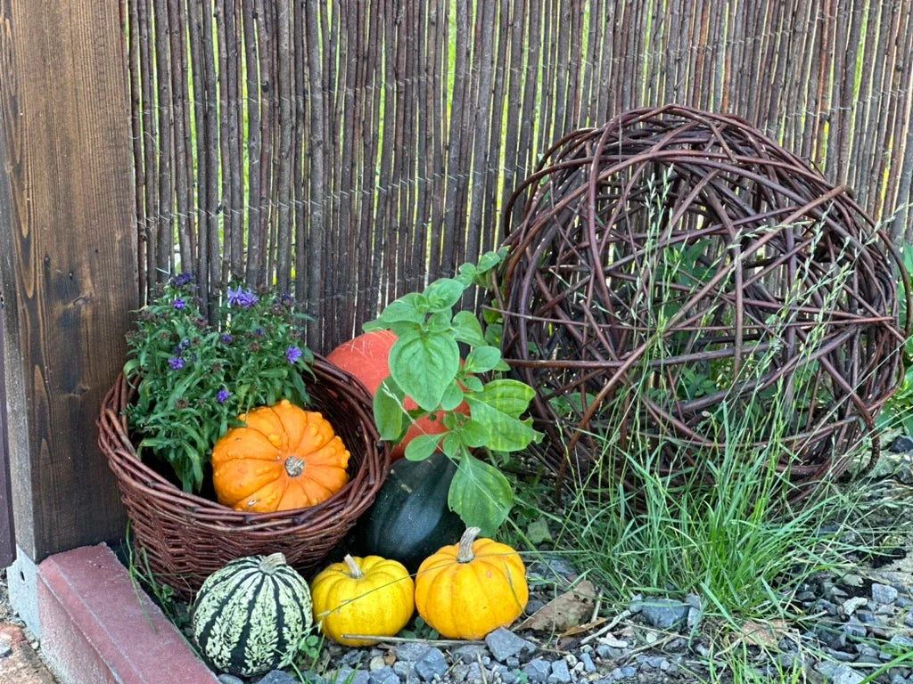 How to protect wicker from rain and sunlight?