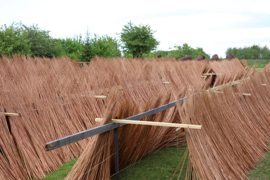 How to restore wicker so it lasts for years? Proven renovation methods