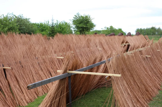 How to restore wicker so it lasts for years? Proven renovation methods