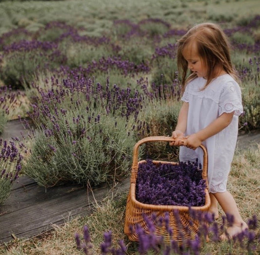 Utility Wicker Baskets - Practical Uses You May Not Have Considered