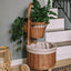 Lasovia Design
