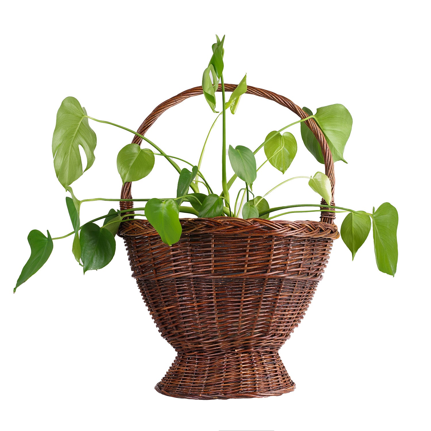 Handgeflochtener Weidenkorb für den Garten
