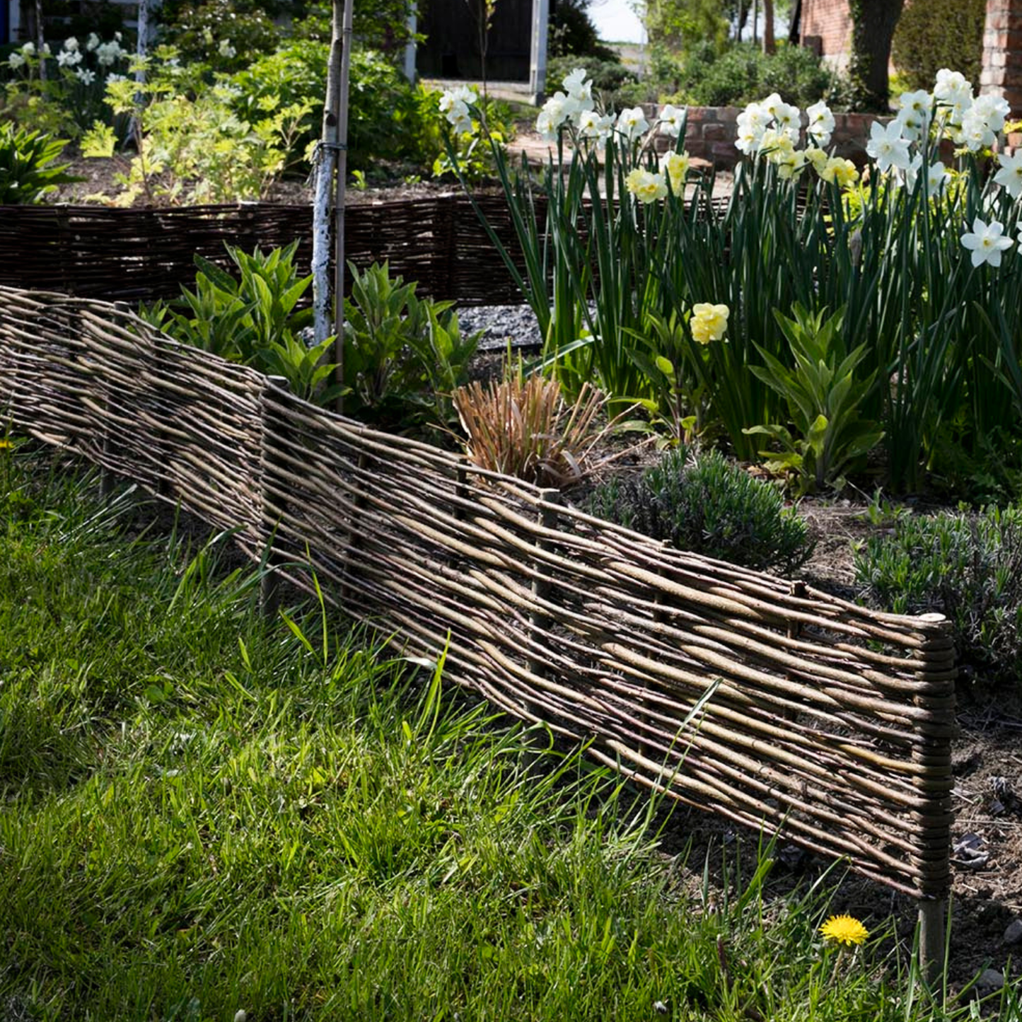 Domitia set of 5 wicker garden panels TheWickerStories