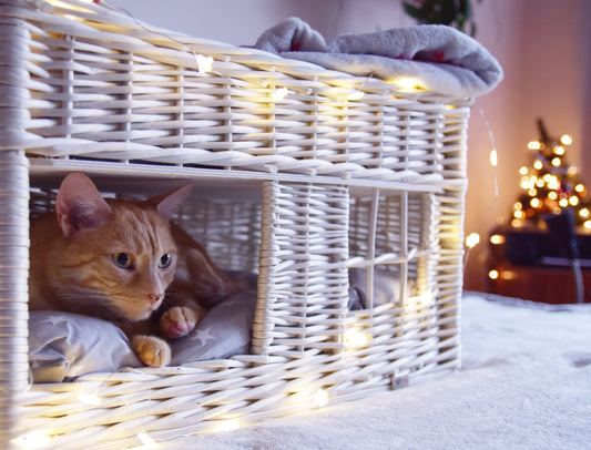 Estrella rieten kattenhuis met grijze kussens, tweelaags met raampje