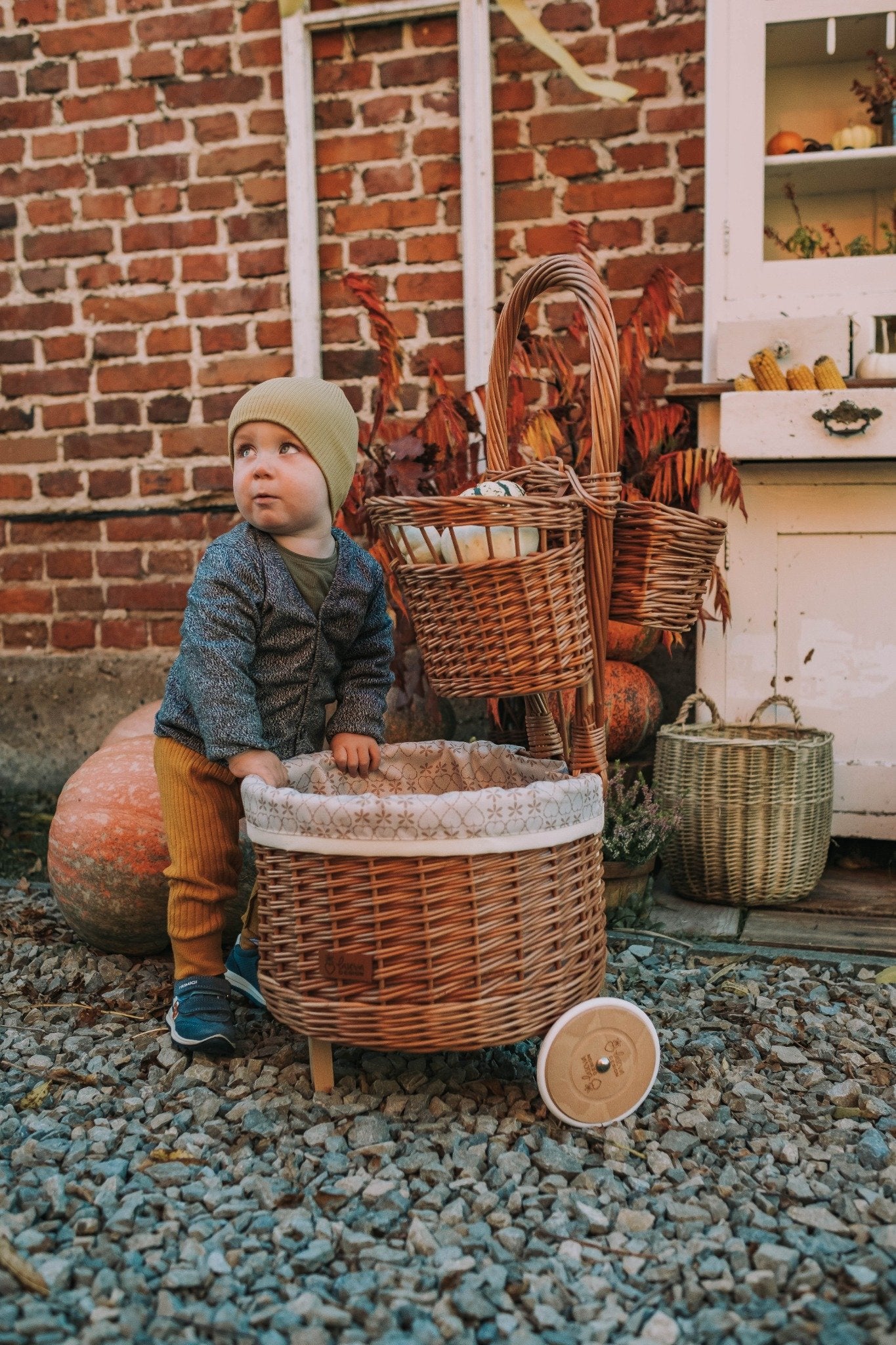 Acer punottu kasvikori kermareunuksella ja pyörillä TheWickerStories