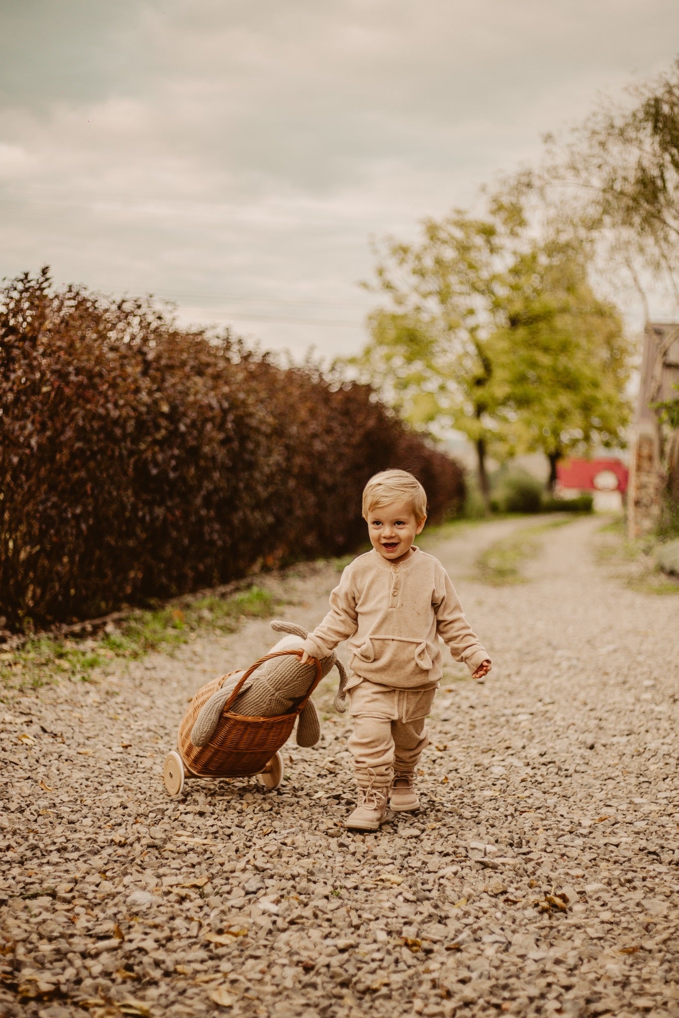Luke wicker baby stroller with blue trim, handle, and wooden wheels TheWickerStories