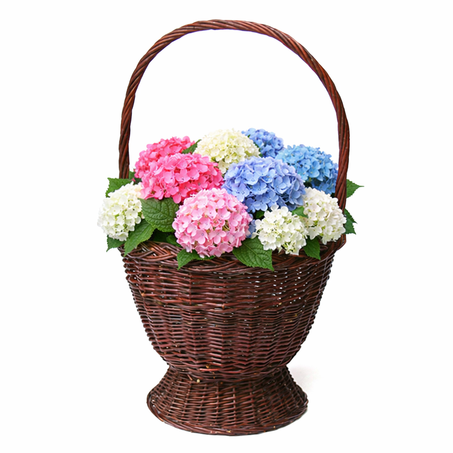 geflochtener Weidenkorb für Garten, Blumen und Kräuter, mit Griff