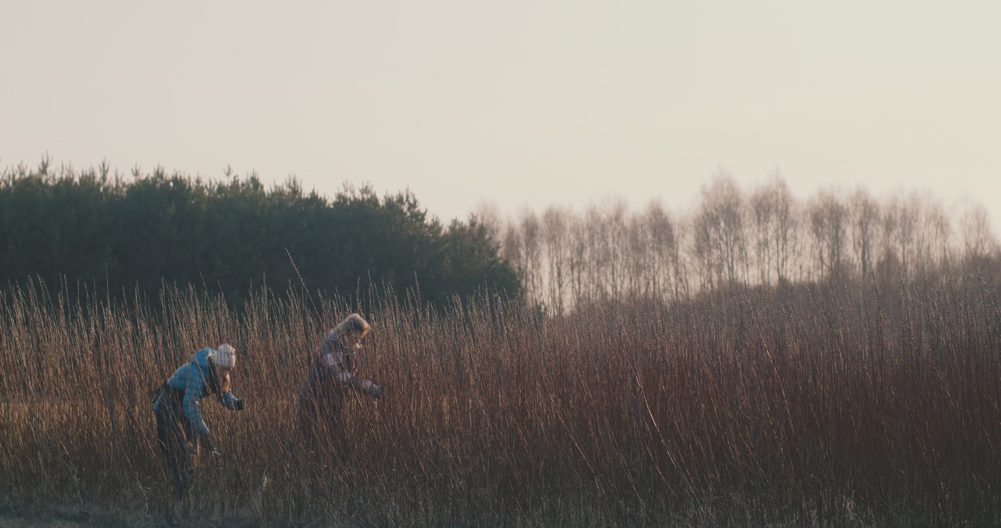 Load video: 