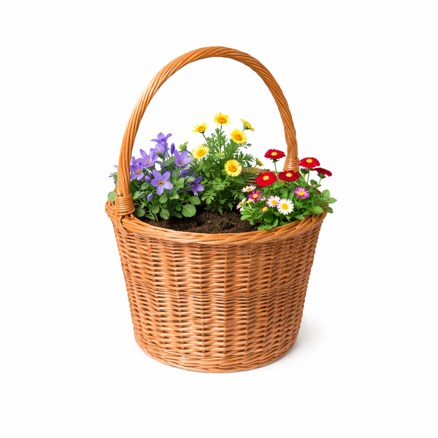 Zamia geflochtener Weidenkorb für Garten, Pflanzen und Dekorationen TheWickerStories