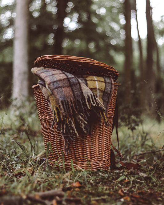 Sirellius wicker backpack with brown trim, straps and lid